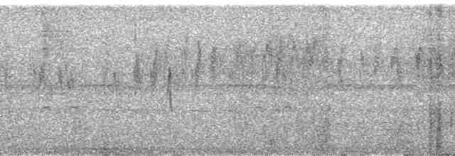 Sicale des savanes (groupe luteola) - ML166655