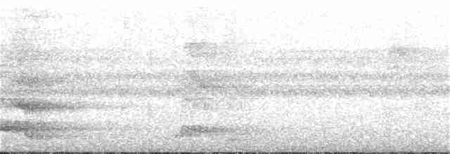 Охристобровый медосос - ML166662211