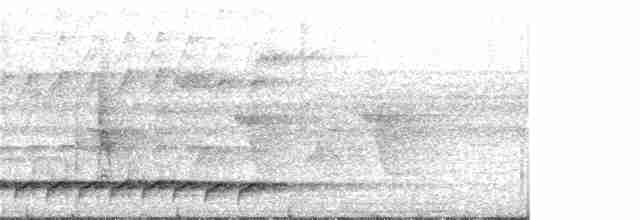 Дивоптах-серподзьоб східний - ML166662361