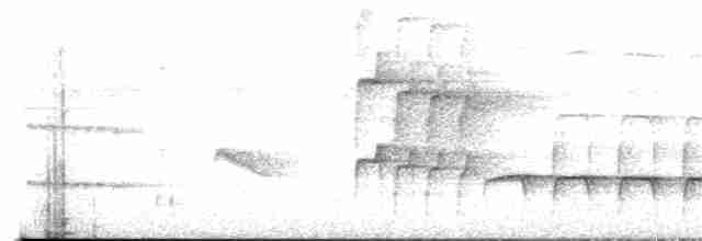 Weißrücken-Ameisenvogel - ML166669751