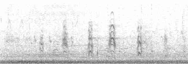 svartterne (surinamensis) - ML166677
