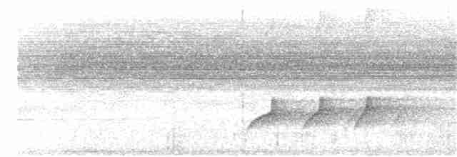 Dusky Long-tailed Cuckoo - ML166679261