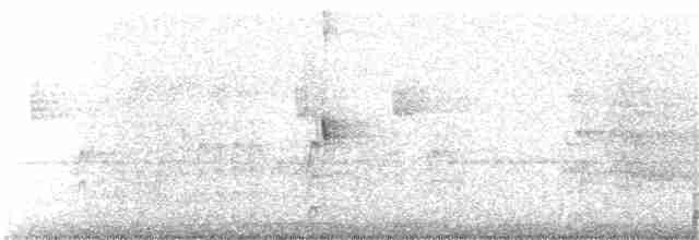 Flavescent Warbler - ML166695161
