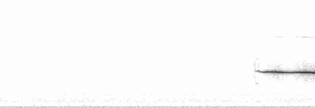 Bruant à couronne blanche (gambelii) - ML16675