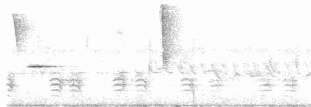 Weißbrustkleiber - ML166752781