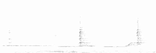 Белобрюхий орлан - ML166754661