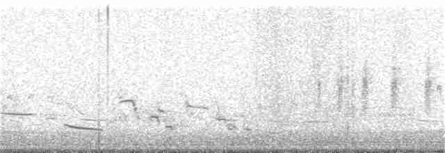 Common Gallinule - ML166811811