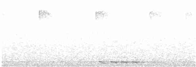 Black-billed Cuckoo - ML166899941