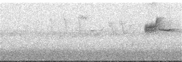 Длиннохвостый крапивник - ML166916471