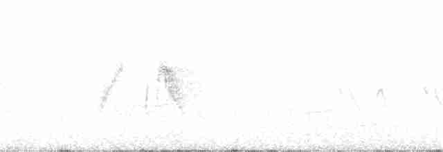 Söğüt Sinekkapan - ML166918021