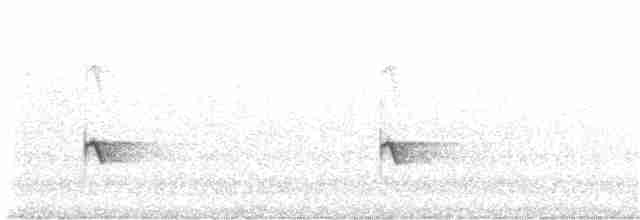 Guarayos Çıtkuşu - ML166918761