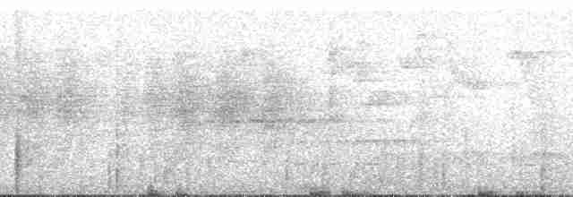 Шперкар плямистокрилий - ML166956