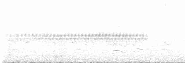 Соловьиный сверчок - ML166973101