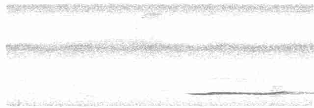 Thicket Tinamou - ML166983631