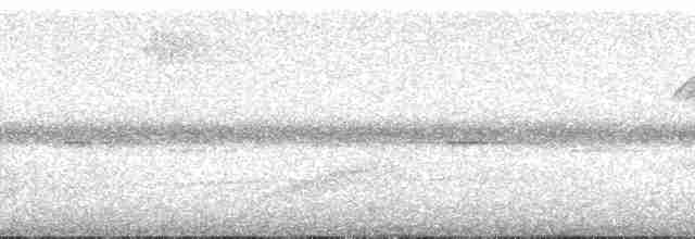 Sclater's Whistler - ML166994
