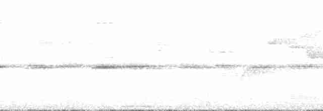 Дивоптах-серподзьоб східний - ML167017