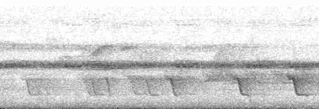 Sclater's Whistler - ML167021