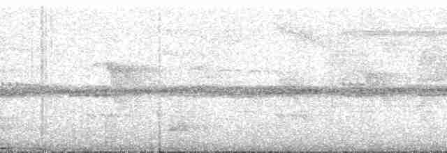 Sclater's Whistler - ML167023