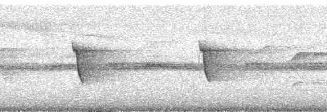 Slaty-chinned Longbill - ML167024