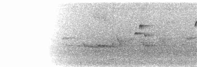 Пестрогрудый тираннчик - ML167032621