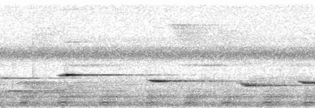 Gray Whistler (Gray-headed) - ML167043