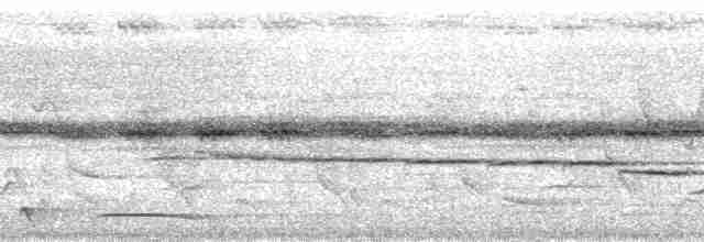 Віялохвістка рудочерева - ML167052