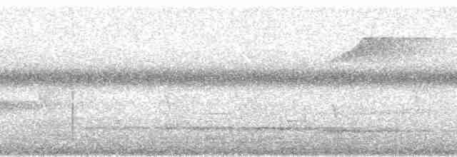 Gri Islıkçı [griseiceps grubu] - ML167074