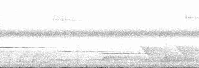brunplystrer (griseiceps gr.) (blekbrynplystrer) - ML167076
