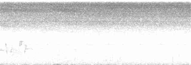 Buff-collared Nightjar - ML167096511
