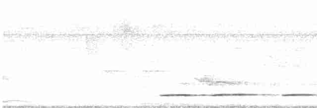 Undulated Tinamou - ML167104031