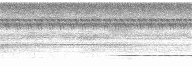 Bartlett's Tinamou - ML167127181
