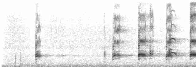 Buff-necked Ibis - ML167206501