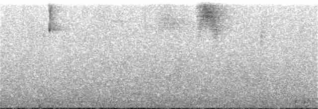 Корольковая эуфония - ML167240121