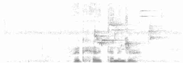 Piranga érythrocéphale - ML167241821