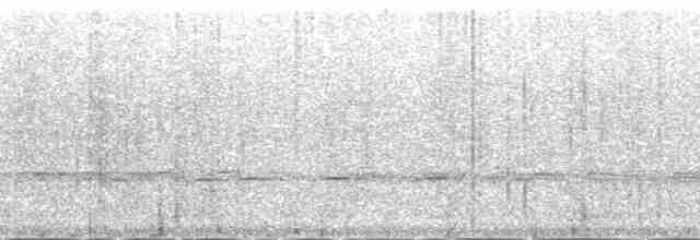 Beyaz Kuyruklu Ketzal - ML167245