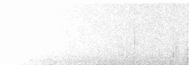 Rufous Whistler - ML167250091