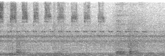 inka běloocasý - ML167251