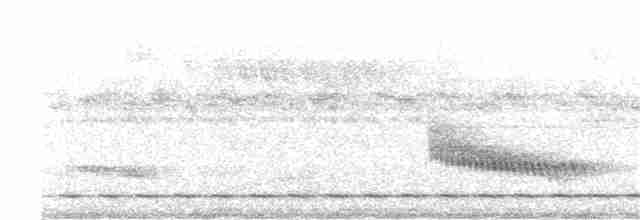 Streifenbrust-Ameisendrossel - ML167274171