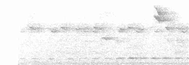 Streifenbrust-Ameisendrossel - ML167274201
