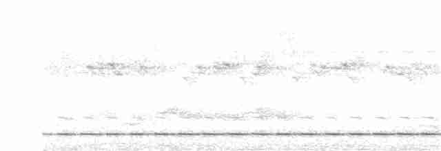 Streifenbrust-Ameisendrossel - ML167274221