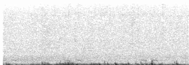 Black-billed Cuckoo - ML167281121