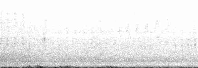 Oriole des vergers - ML167282411