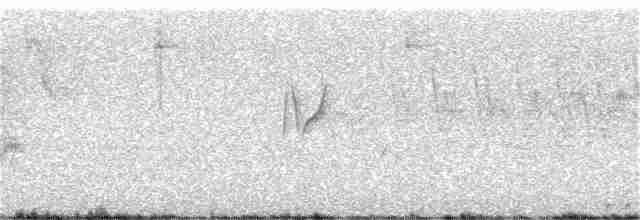Черноспинный трёхпалый дятел - ML167303981