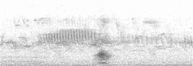 אנפית בקר מערבית - ML167330171