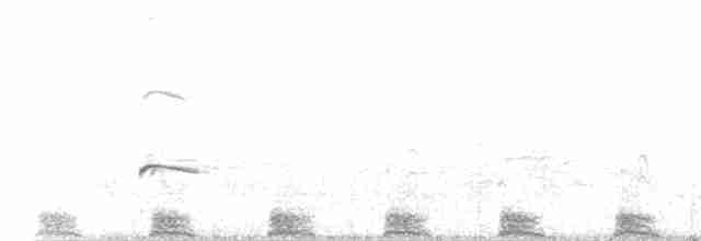 Bulwersturmvogel - ML167343781
