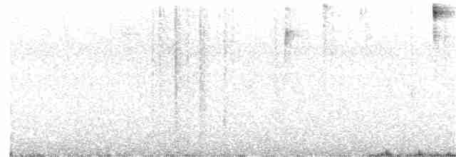 Chlorospin des buissons (punctulatus) - ML167374921