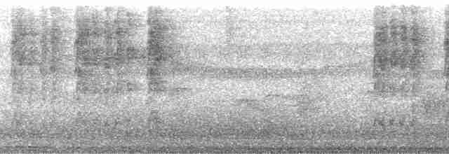 Safir Karınlı Kolibri - ML167379
