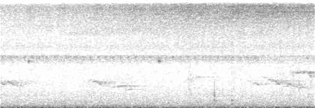 Колібрі-шаблекрил юкатанський (підвид pampa) - ML167439681