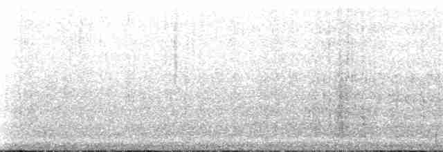 buřňák černokřídlý - ML167441
