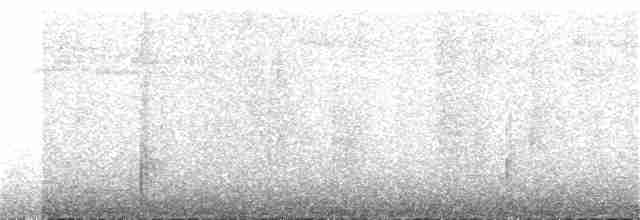 Black-chested Fruiteater - ML167476331